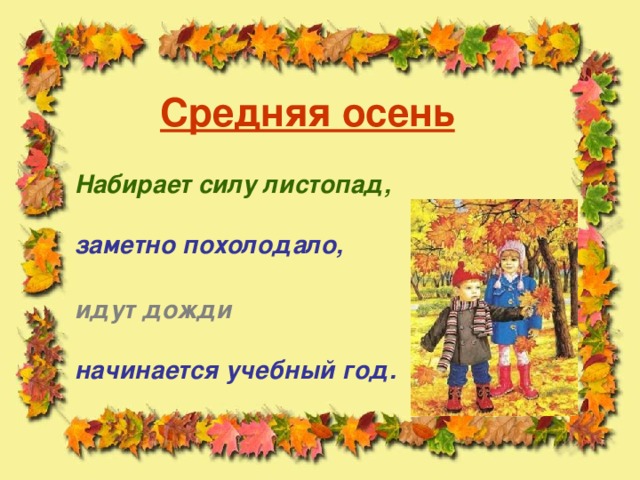 Средняя осень Набирает силу листопад, заметно похолодало, идут дожди начинается учебный год.