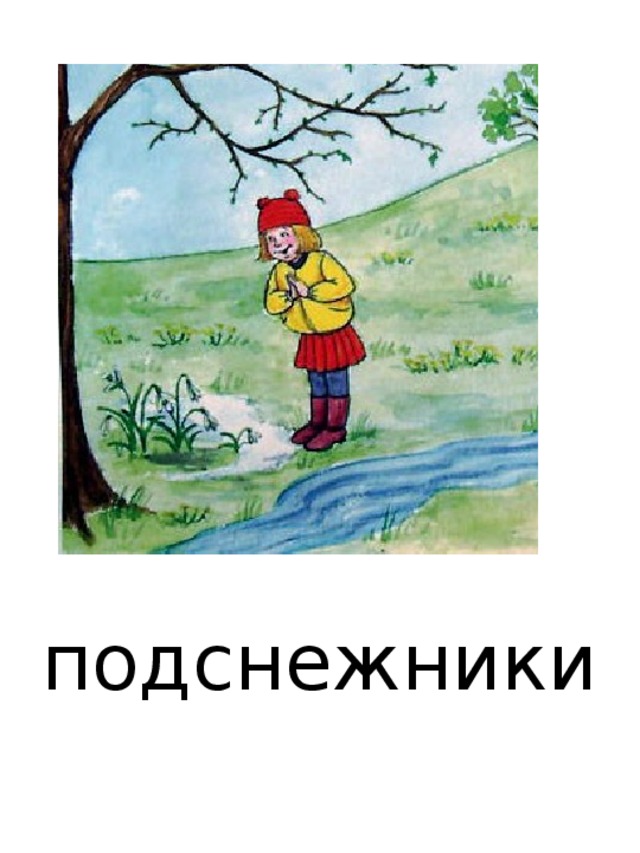 подснежники