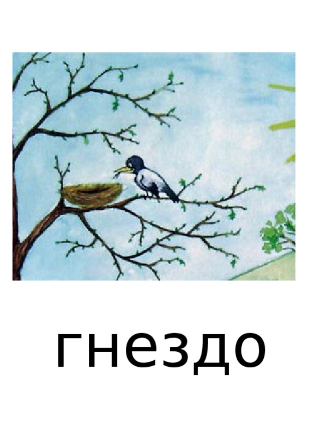 гнездо