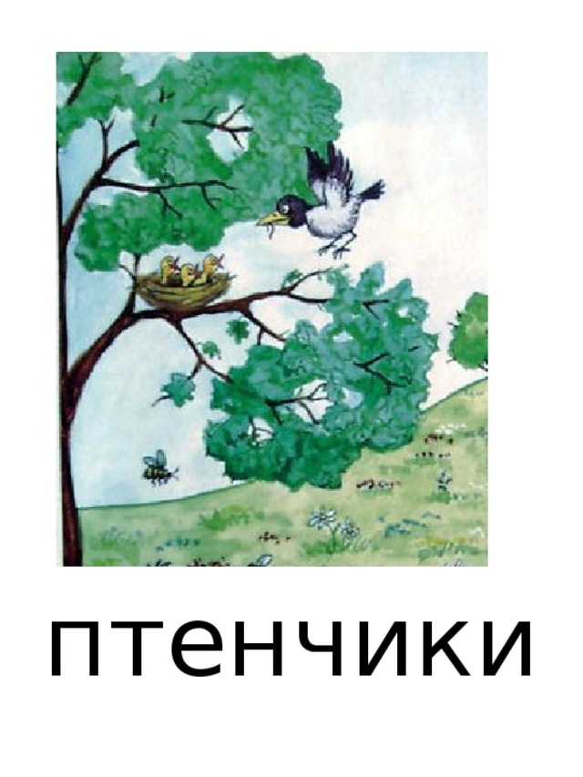 птенчики