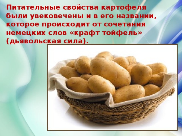 Питательные свойства картофеля были увековечены и в его названии, которое происходит от сочетания немецких слов «крафт тойфель» (дьявольская сила).