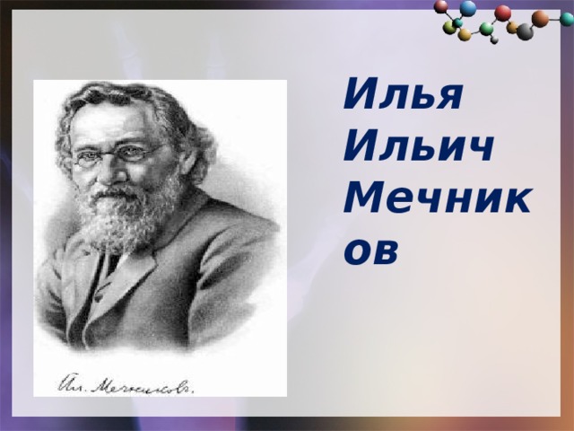 Илья  Ильич  Мечников
