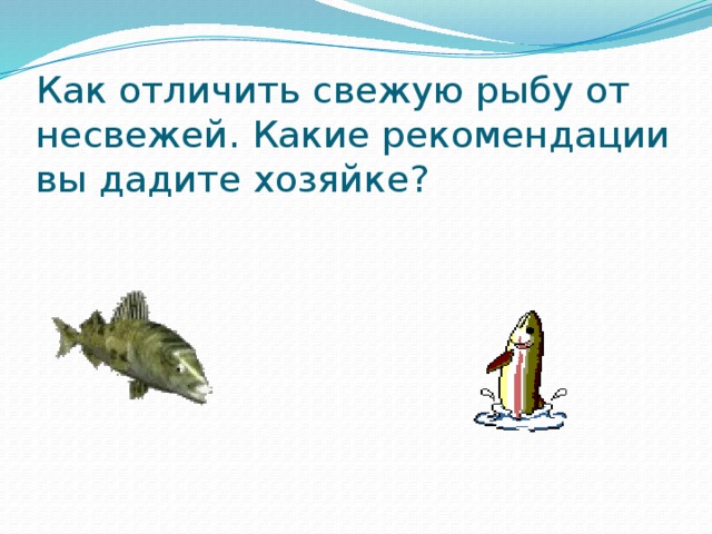 Как отличить свежую рыбу от несвежей. Какие рекомендации вы дадите хозяйке?