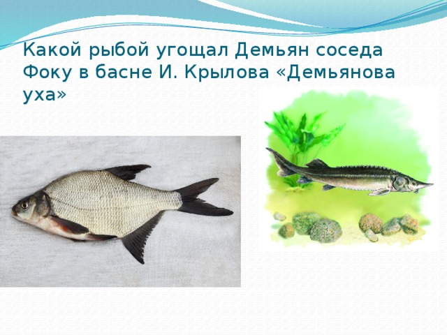 Какой рыбой угощал Демьян соседа Фоку в басне И. Крылова «Демьянова уха»