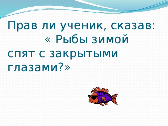 Прав ли ученик, сказав: « Рыбы зимой спят с закрытыми глазами?»
