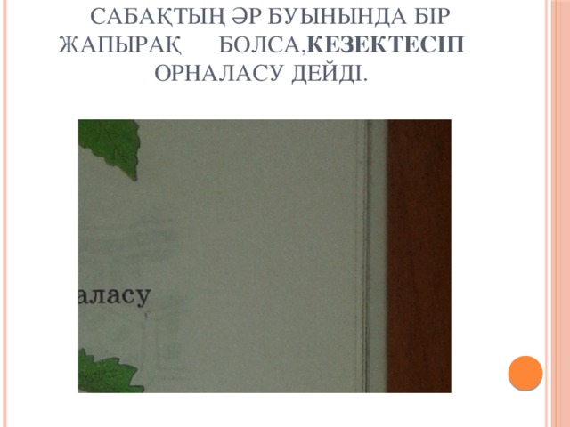 Сабақтың әр буынында бір жапырақ болса, кезектесіп орналасу дейді.