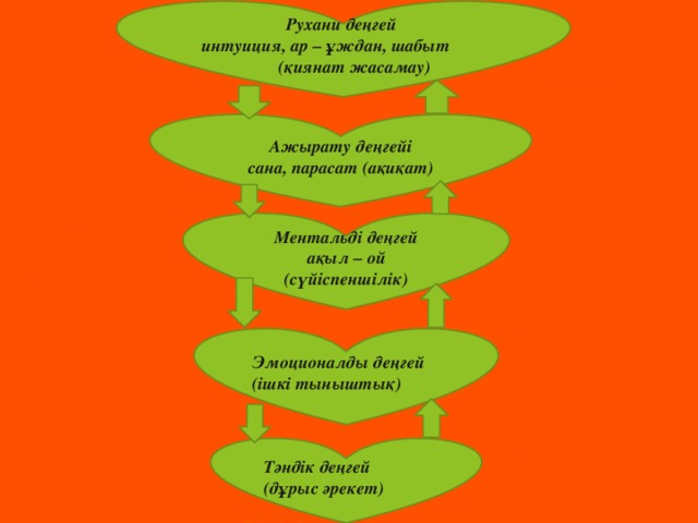 Рухани деңгей интуиция, ар – ұждан, шабыт (қиянат жасамау)   Ажырату деңгейі сана, парасат (ақиқат) Ментальді деңгей ақыл – ой (сүйіспеншілік) Эмоционалды деңгей (ішкі тыныштық) Тәндік деңгей (дұрыс әрекет)