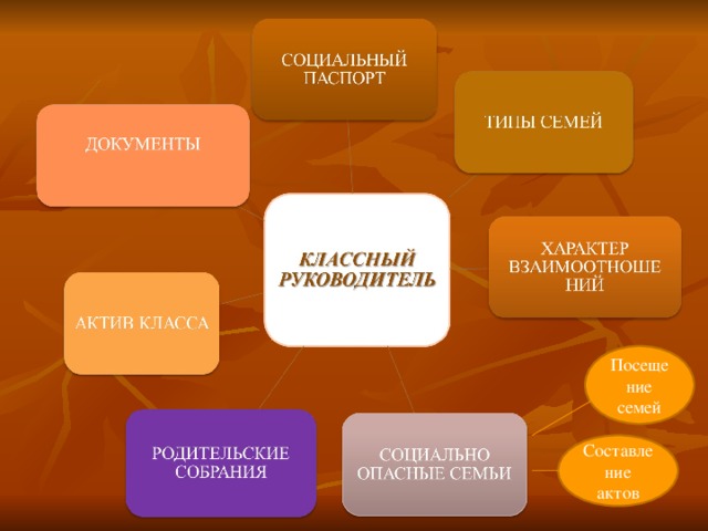 Посещение семей Составление актов