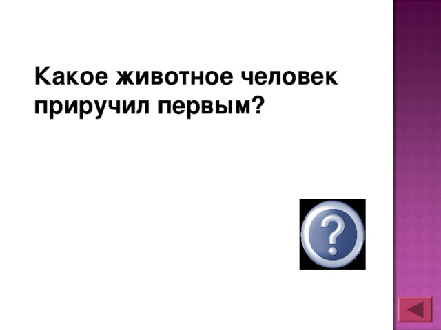 Какое животное человек приручил первым?  собака