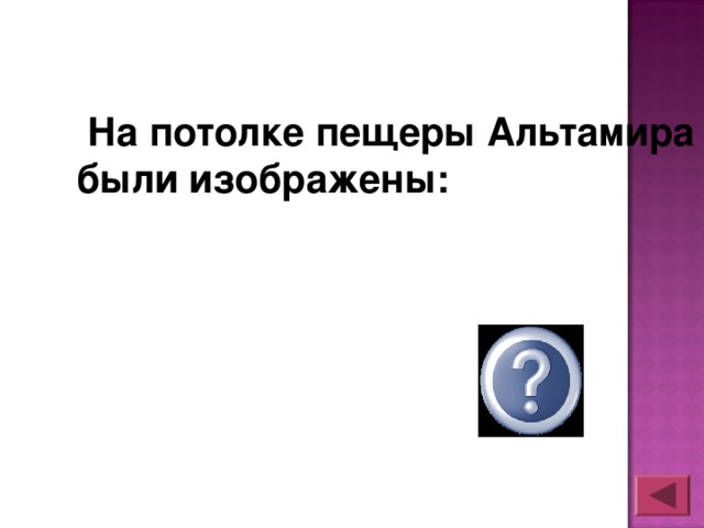 На потолке пещеры Альтамира были изображены:  бизоны