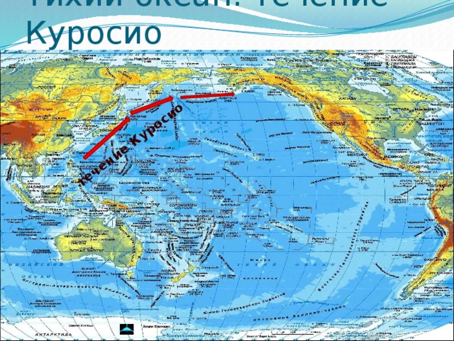 Тихий океан. Течение Куросио течение Куросио