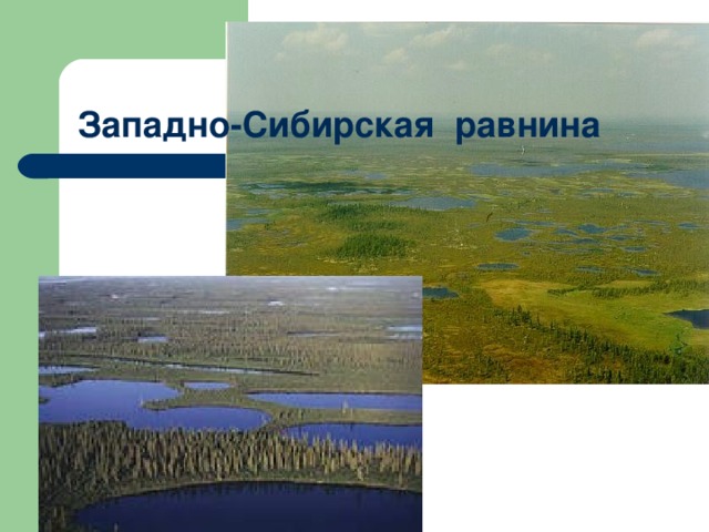 Описание природного района западно сибирская равнина по плану 8 класс география