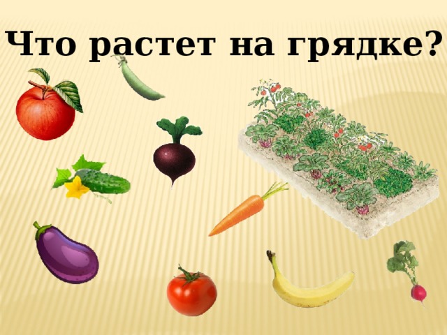 Что растет на грядке?