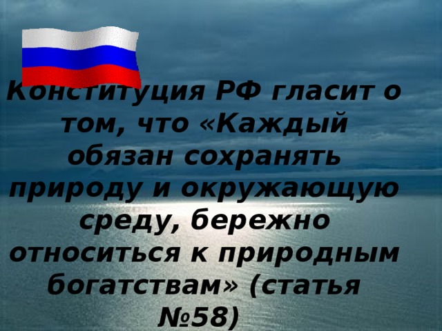 Конституция РФ гласит о том, что «Каждый обязан сохранять природу и окружающую среду, бережно относиться к природным богатствам» (статья №58) «