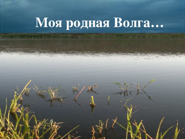 Моя родная Волга…