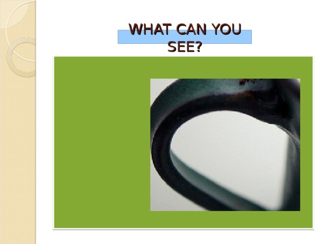 WHAT CAN YOU SEE?