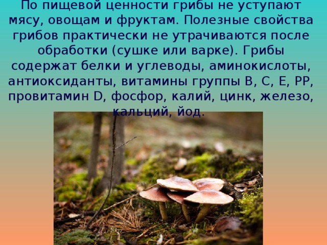 По пищевой ценности грибы не уступают мясу, овощам и фруктам. Полезные свойства грибов практически не утрачиваются после обработки (сушке или варке). Грибы содержат белки и углеводы, аминокислоты, антиоксиданты, витамины группы В, С, Е, РР, провитамин D, фосфор, калий, цинк, железо, кальций, йод. 