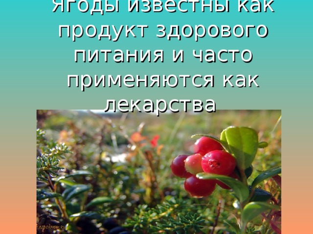 Ягоды известны как продукт здорового питания и часто применяются как лекарства  