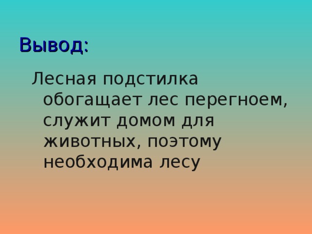 Вывод: Лесная подстилка обогащает лес перегноем, служит домом для животных, поэтому необходима лесу