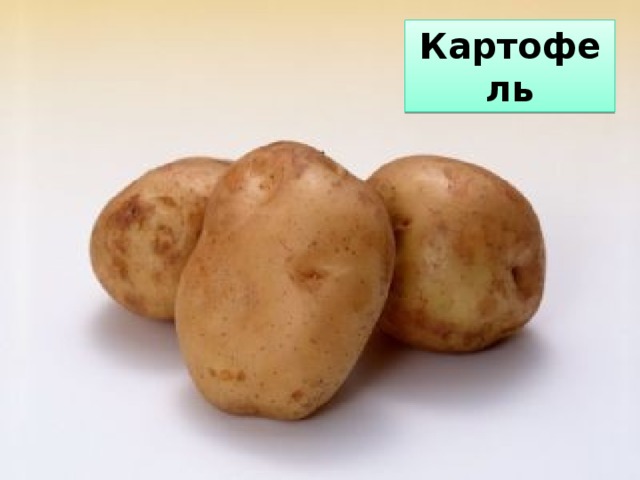 Картофель