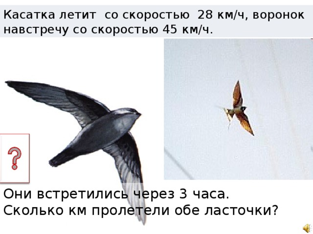 Касатка летит со скоростью 28 км/ч, воронок навстречу со скоростью 45 км/ч. Они встретились через 3 часа. Сколько км пролетели обе ласточки?