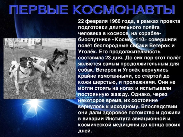 22 февраля 1966 года, в рамках проекта подготовки длительного полёта человека в космосе, на корабле-биоспутнике «Космос-110» совершили полёт беспородные собаки Ветерок и Уголёк. Его продолжительность составила 23 дня. До сих пор этот полёт является самым продолжительным для собак. Ветерок и Уголёк вернулись крайне измотанными, со стёртой до кожи шерстью, и пролежнями. Они не могли стоять на ногах и испытывали постоянную жажду. Однако, через некоторое время, их состояние вернулось к исходному. Впоследствии они дали здоровое потомство и дожили в виварии Института авиационной и космической медицины до конца своих дней.