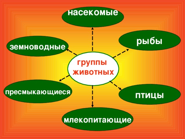 насекомые  рыбы земноводные группы  животных пресмыкающиеся птицы млекопитающие