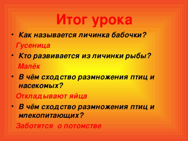 Итог урока Как называется личинка бабочки?  Гусеница Кто развивается из личинки рыбы?  Малёк В чём сходство размножения птиц и насекомых?  Откладывают яйца В чём сходство размножения птиц и млекопитающих?  Заботятся о потомстве