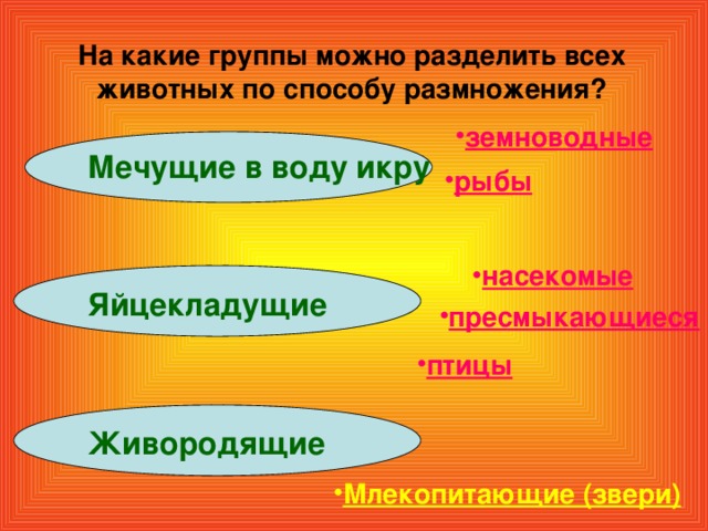 На какие группы можно разделить всех животных по способу размножения? земноводные Мечущие в воду икру Яйцекладущие Живородящие