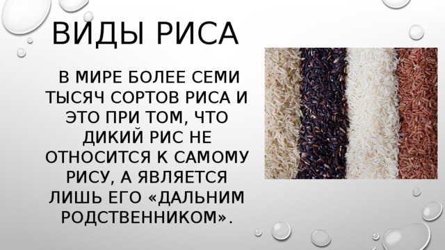 Виды риса  В мире более семи тысяч сортов риса и это при том, что дикий рис не относится к самому рису, а является лишь его «дальним родственником».