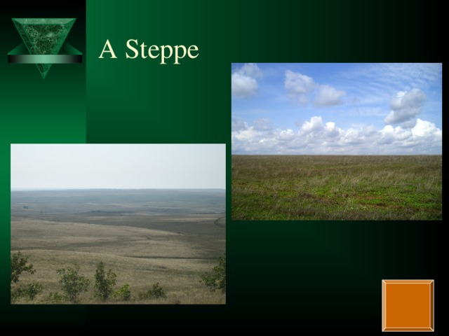 A Steppe