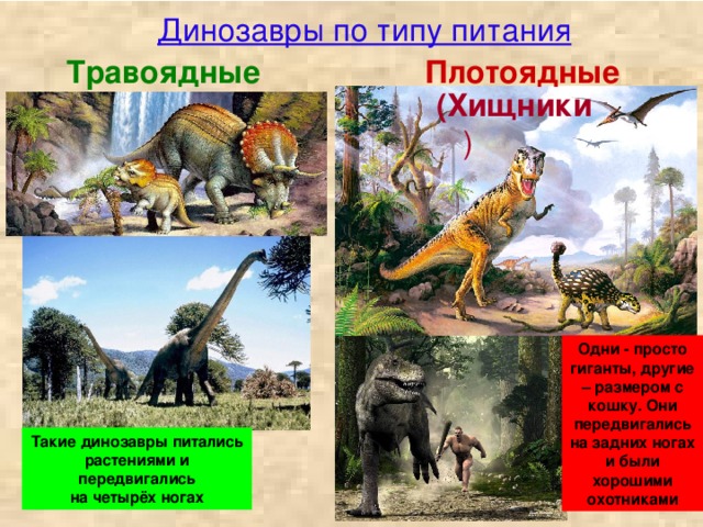 Динозавры по типу питания Плотоядные Травоядные (Хищники ) Одни - просто гиганты, другие – размером с кошку. Они передвигались на задних ногах и были хорошими охотниками Такие динозавры питались растениями и передвигались на четырёх ногах