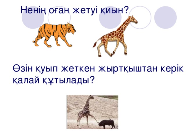 Ненің оған жетуі қиын?   Өзін қуып жеткен жыртқыштан керік қалай құтылады?