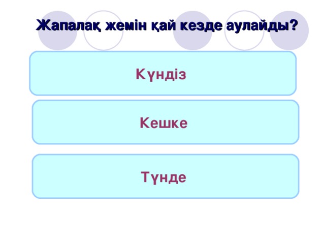 Жапалақ жемін қай кезде аулайды?  Күндіз  Кешке  Түнде