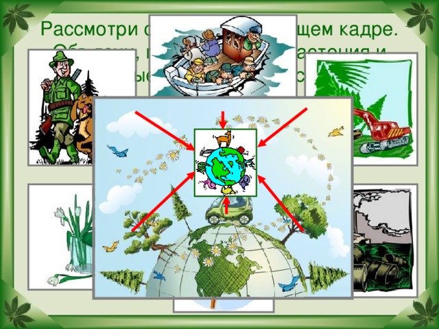 Рассмотри схему на следующем кадре. Объясни, почему многие растения и животные встречаются всё реже.