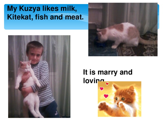 My Kuzya likes milk, Kitekat, fish and meat. It is marry and loving.