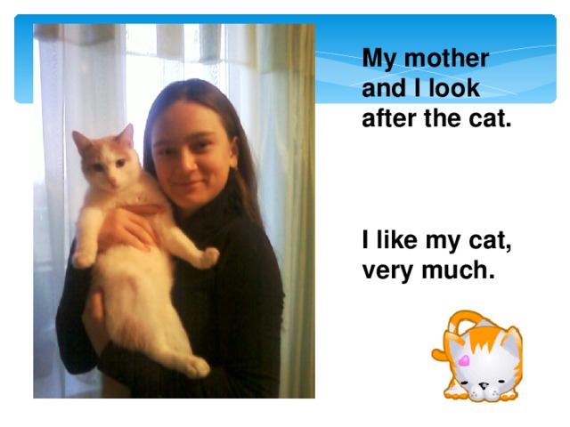 My mother and I look after the cat.    I like my cat, very much.
