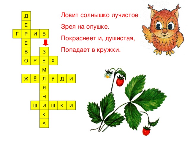 Ловит солнышко лучистое Зрея на опушке. Покраснеет и, душистая, Попадает в кружки.