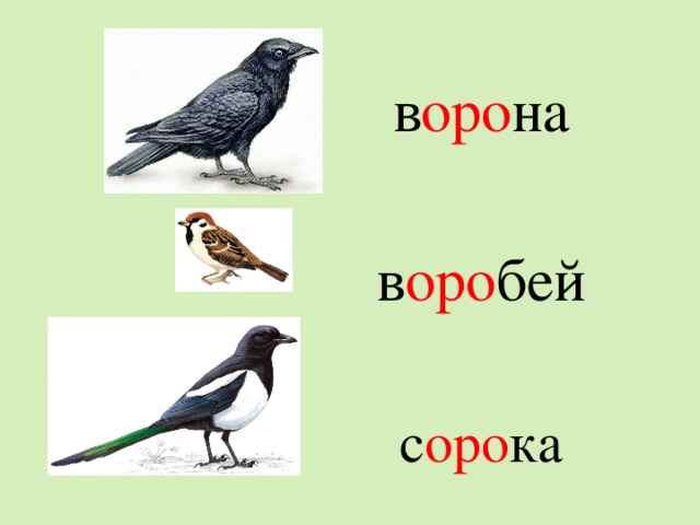 Слово ворона