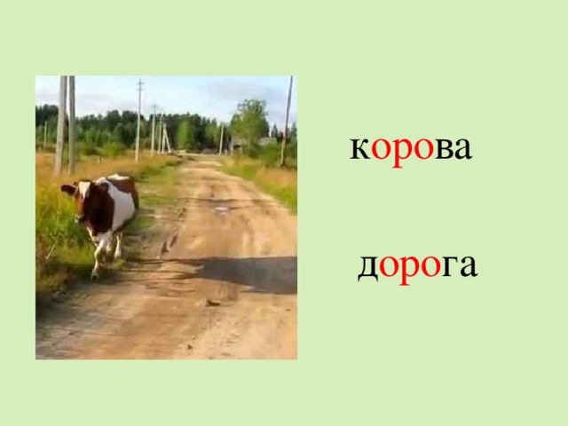 к оро ва   д оро га