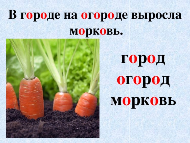 Падеж слова морковь. Словарное слово морковь в картинках. Морковь словарное слово. Словарное слово огород в картинках. Морковь словарное слово 2 класс.