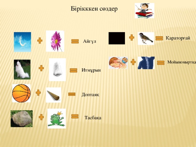 Бірікккен сөздер Қараторғай Айгүл Мойыномыртқа Итмұрын Доптаяқ Тасбақа