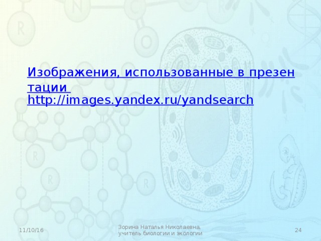 Изображения, использованные в презентации http://images.yandex.ru/yandsearch 11/10/16  Зорина Наталья Николаевна, учитель биологии и экологии