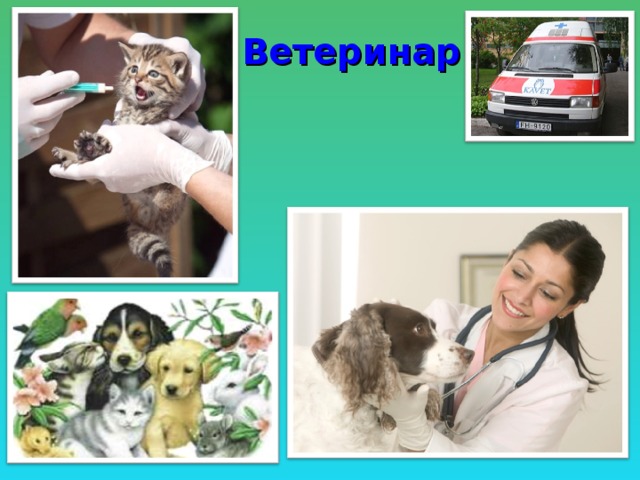 Ветеринар