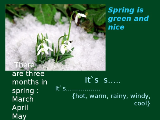 Spring is green and nice  There are three months in spring : March April May  It`s s….. It`s…………….. {hot, warm, rainy, windy, cool}