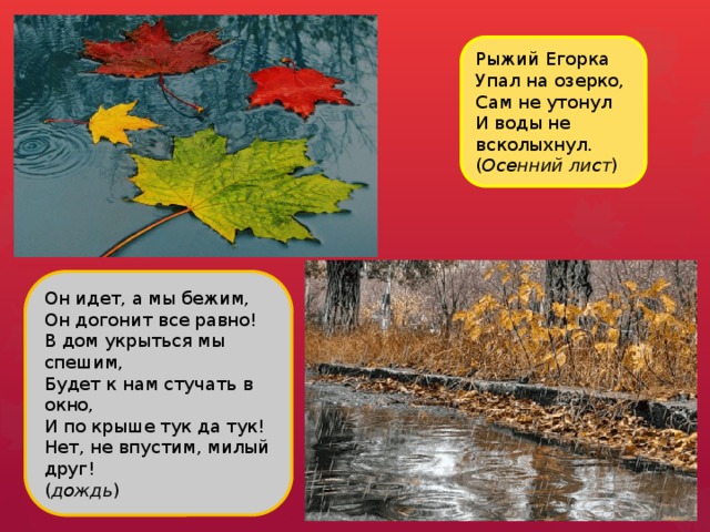 Рыжий Егорка  Упал на озерко,  Сам не утонул  И воды не всколыхнул.  ( Осенний лист ) Он идет, а мы бежим,  Он догонит все равно!  В дом укрыться мы спешим,  Будет к нам стучать в окно,  И по крыше тук да тук!  Нет, не впустим, милый друг!  ( дождь )