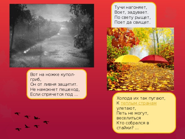 Тучи нагоняет, Воет, задувает.  По свету рыщет, Поет да свищет.   Вот на ножке купол-гриб,  Он от ливня защитит.  Не намокнет пешеход,  Если спрячется под … Холода их так пугают,  К теплым странам улетают,  Петь не могут, веселиться  Кто собрался в стайки? ...