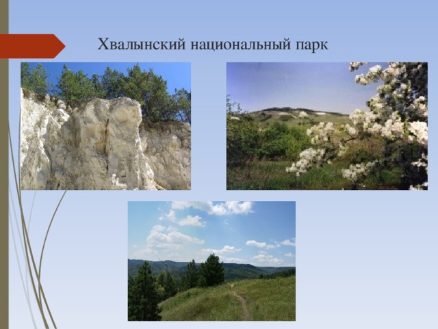 Национальные парки саратовской области проект
