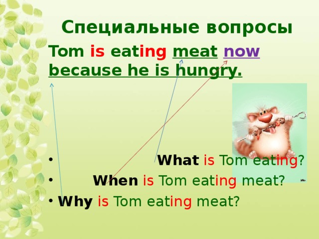 Специальные вопросы Tom is eat ing  meat  now  because he is hungry.
