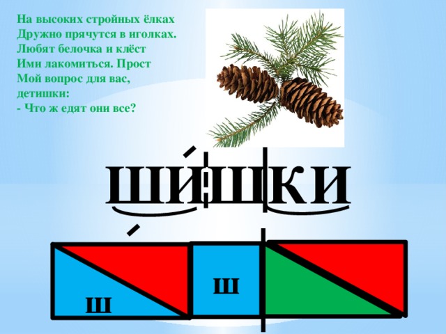 На высоких стройных ёлках Дружно прячутся в иголках. Любят белочка и клёст Ими лакомиться. Прост Мой вопрос для вас, детишки: - Что ж едят они все? ШИШКИ ш ш